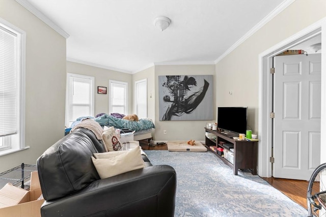 living room featuring wood finished floors and ornamental molding