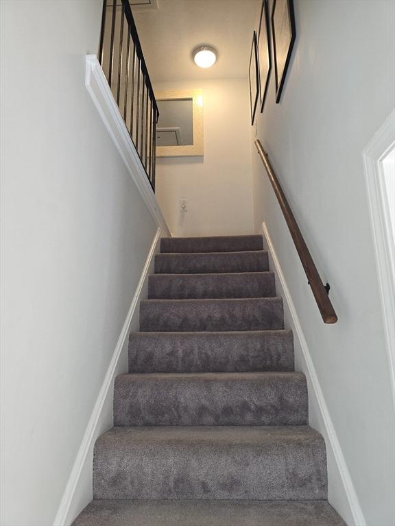 stairs featuring carpet flooring