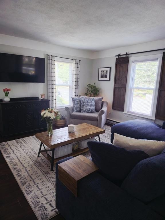 living room featuring plenty of natural light and a textured ceiling