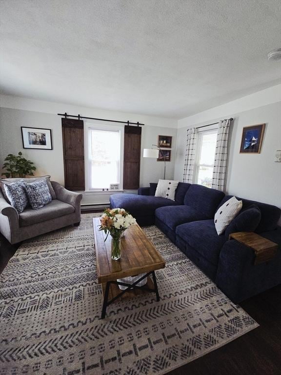 living room featuring wood finished floors, a textured ceiling, and a barn door