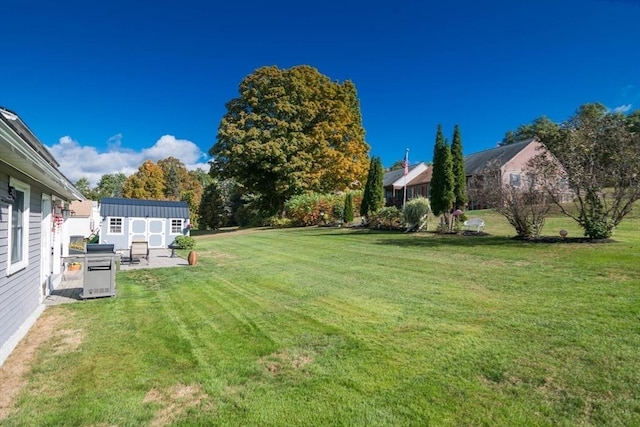 view of yard with a storage shed, a patio, and an outdoor structure