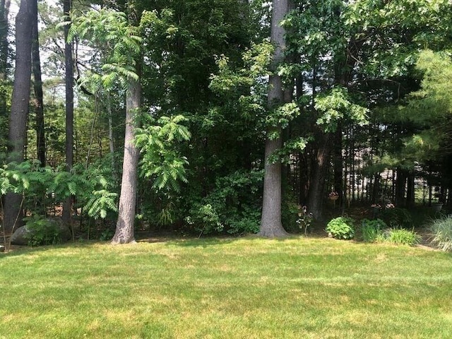 124 High Pine Cir Unit 124, Wilbraham, MA 01095 - view of green lawn with a view of trees