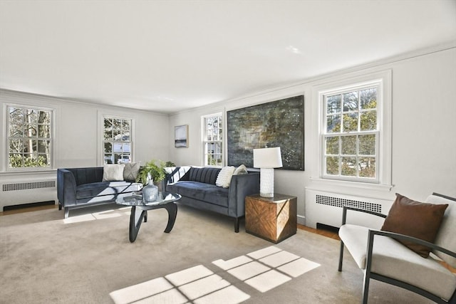 15 Alden Rd, Wellesley, MA 02481 - living area with radiator heating unit