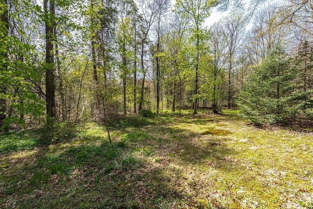 view of landscape featuring a view of trees