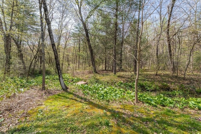 view of nature with a forest view