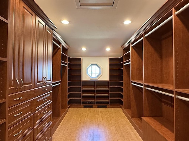 view of spacious closet