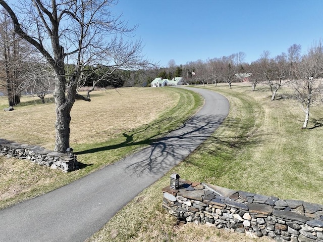 view of community with a lawn