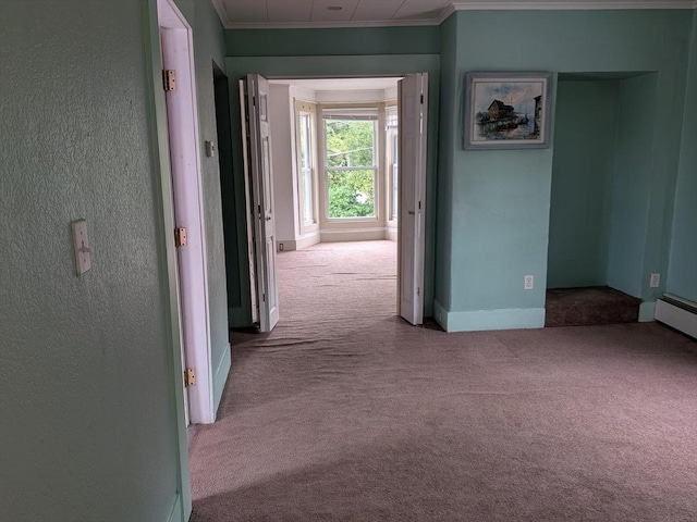15 10th, Lowell, MA 01850 - corridor featuring carpet floors, crown molding, and a textured wall