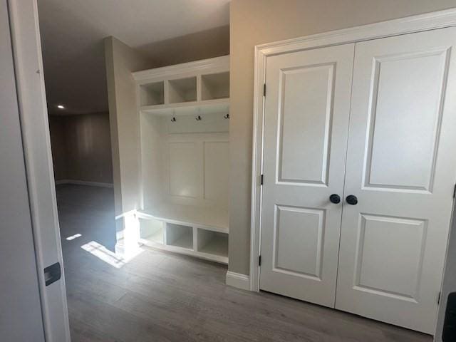 mudroom with wood-type flooring