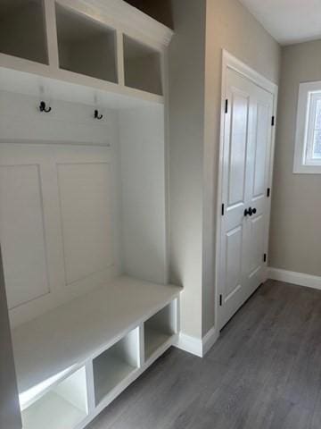 mudroom featuring dark hardwood / wood-style flooring