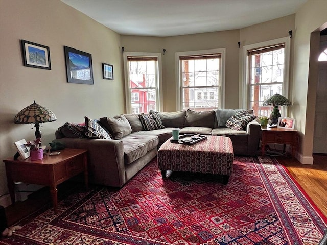 living room featuring plenty of natural light and wood finished floors