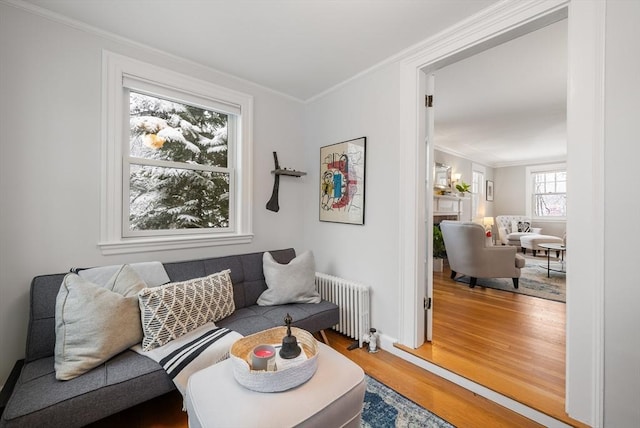 living area featuring hardwood / wood-style flooring, radiator, and crown molding