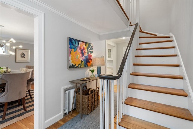 stairs with wood-type flooring, an inviting chandelier, radiator, and ornamental molding