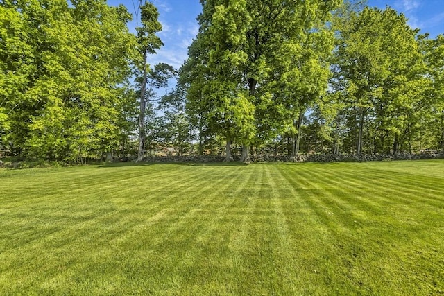 685 Main St, Wilbraham, MA 01095 - view of green lawn