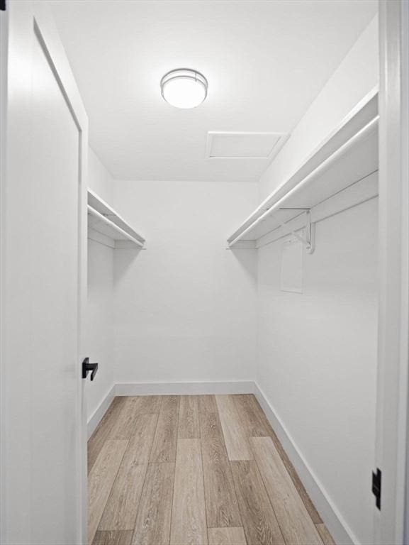 22 Chestnut Pl Unit G1, Brookline, MA 02445 - walk in closet featuring attic access and light wood finished floors