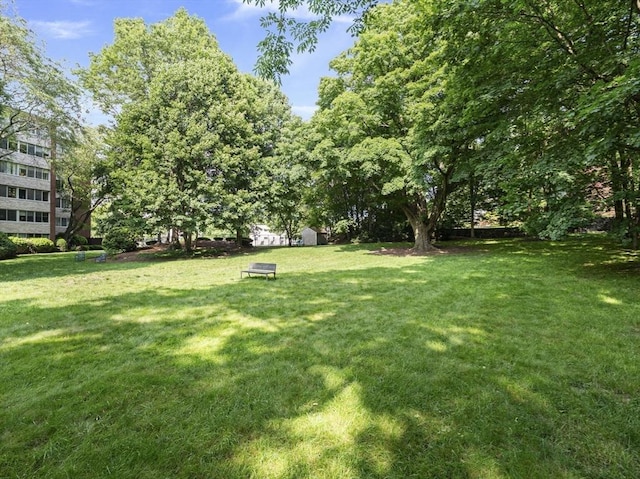 22 Chestnut Pl Unit G1, Brookline, MA 02445 - view of green lawn