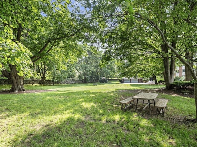 22 Chestnut Pl Unit G1, Brookline, MA 02445 - view of grassy yard