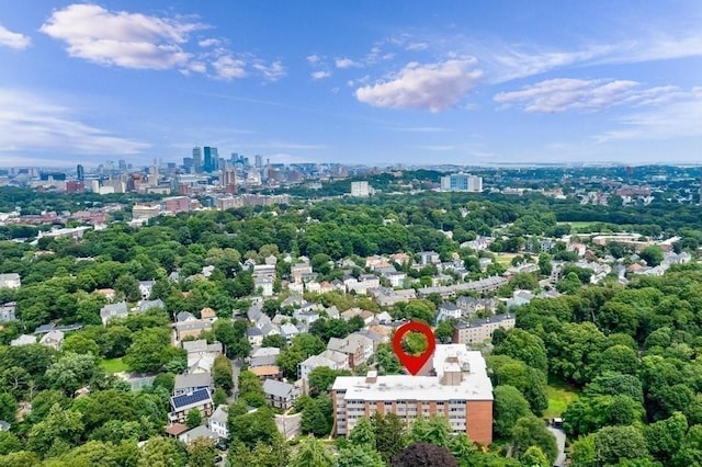 22 Chestnut Pl Unit G1, Brookline, MA 02445 - view of urban area featuring a tree filled landscape