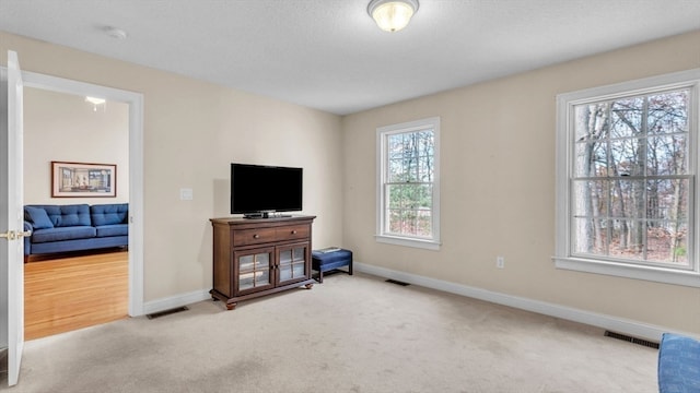 living room featuring a wealth of natural light, light colored carpet, and a textured ceiling