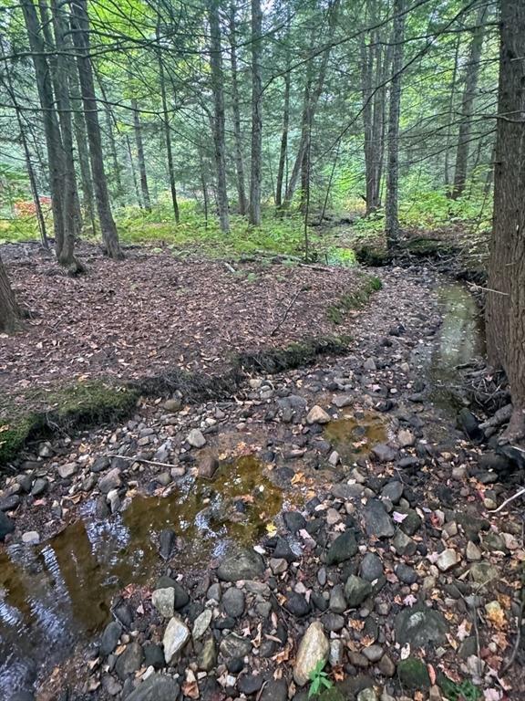 60 Stone Hill Rd, Rowe, MA 01367