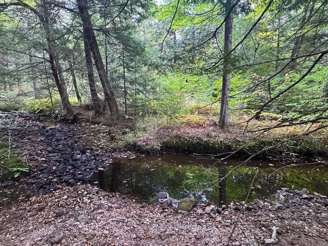 60 Stone Hill Rd, Rowe, MA 01367