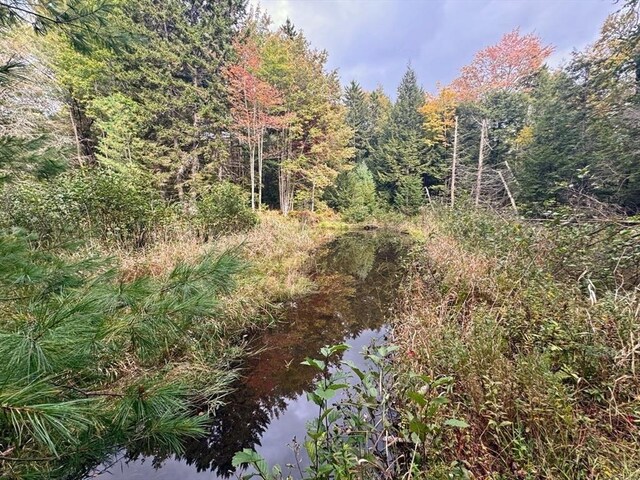 60 Stone Hill Rd, Rowe, MA 01367