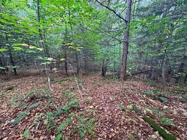 60 Stone Hill Rd, Rowe, MA 01367