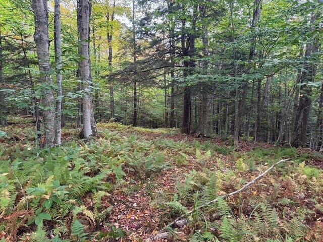60 Stone Hill Rd, Rowe, MA 01367