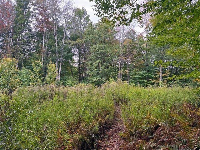 60 Stone Hill Rd, Rowe, MA 01367