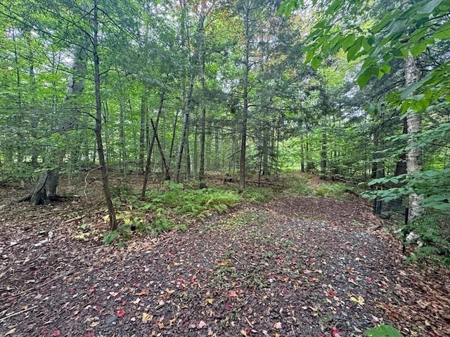 60 Stone Hill Rd, Rowe, MA 01367