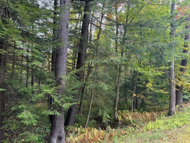 60 Stone Hill Rd, Rowe, MA 01367