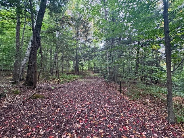 60 Stone Hill Rd, Rowe, MA 01367