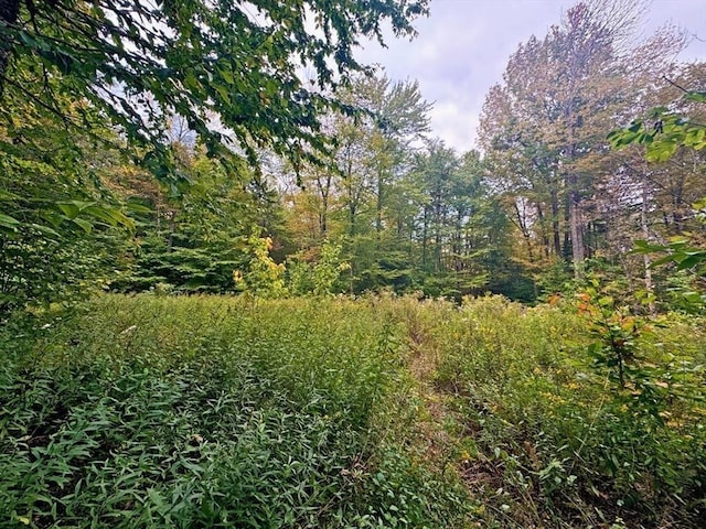 60 Stone Hill Rd, Rowe, MA 01367
