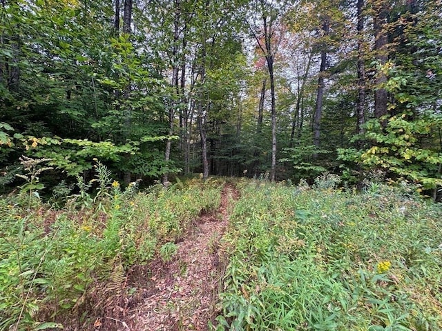 60 Stone Hill Rd, Rowe, MA 01367