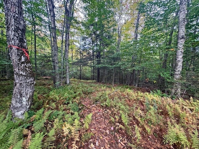 60 Stone Hill Rd, Rowe, MA 01367
