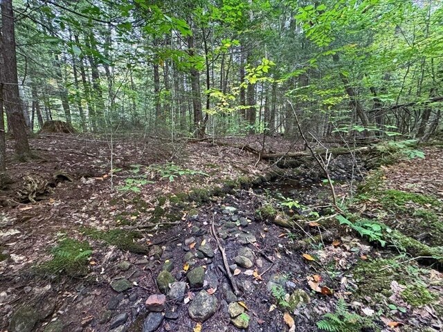60 Stone Hill Rd, Rowe, MA 01367