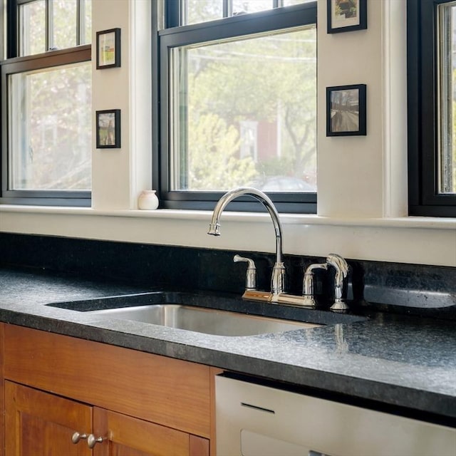 interior details with a sink and dishwashing machine