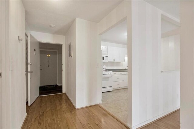 205 Independence Ave Unit 223, Quincy, MA 02169 - corridor with light wood-style flooring and baseboards