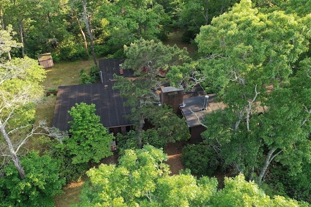 155 Glen Charlie Rd, Wareham, MA 02538 - view of property location with a forest
