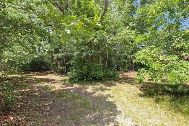 155 Glen Charlie Rd, Wareham, MA 02538 - view of tree filled area