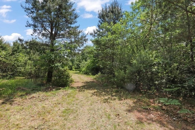 155 Glen Charlie Rd, Wareham, MA 02538 - view of tree filled area