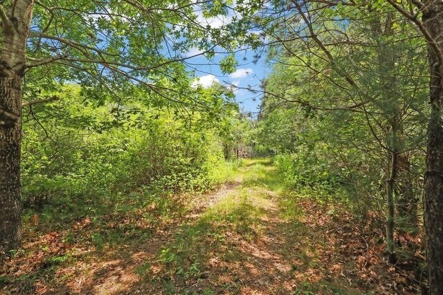 155 Glen Charlie Rd, Wareham, MA 02538 - view of woods