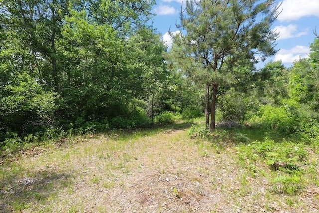 155 Glen Charlie Rd, Wareham, MA 02538 - view of wooded area