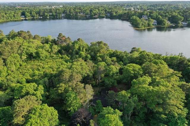 155 Glen Charlie Rd, Wareham, MA 02538 - view of property location with a heavily wooded area and a large body of water