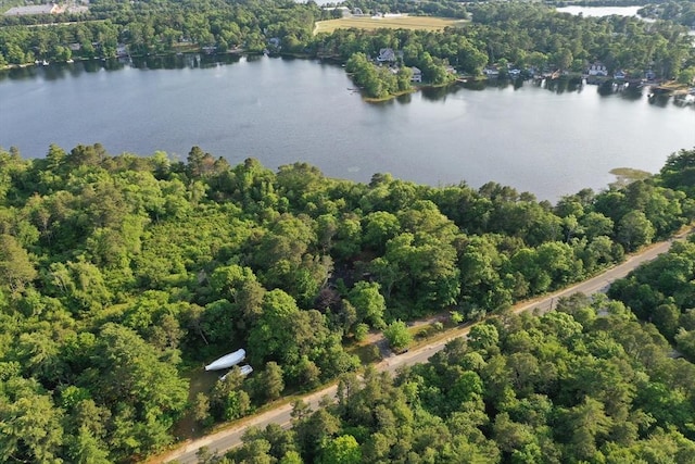 155 Glen Charlie Rd, Wareham, MA 02538 - aerial view of property's location featuring a nearby body of water and a forest