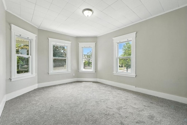 782 Sumner Ave, Springfield, MA 01108 - unfurnished room with crown molding and carpet flooring