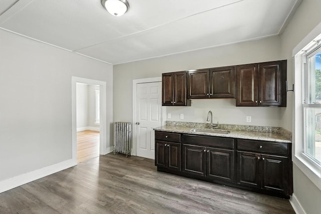 782 Sumner Ave, Springfield, MA 01108 - kitchen with light wood-style flooring, radiator, healthy amount of natural light, and dark brown cabinetry