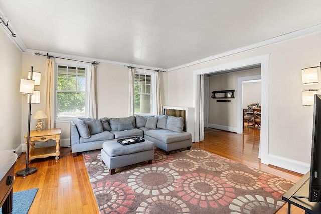 24 Central St, Somerville, MA 02143 - living room featuring hardwood / wood-style flooring, ornamental molding, and baseboards