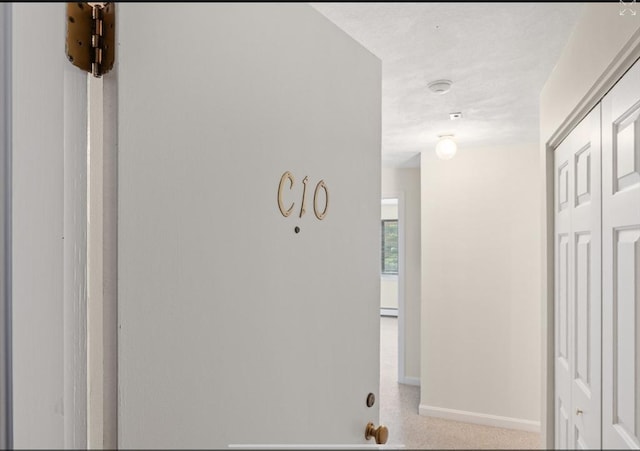 9 Davis Rd Unit C10, Acton, MA 01720 - hall with baseboards