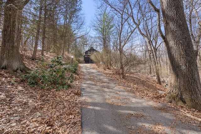 view of street with driveway
